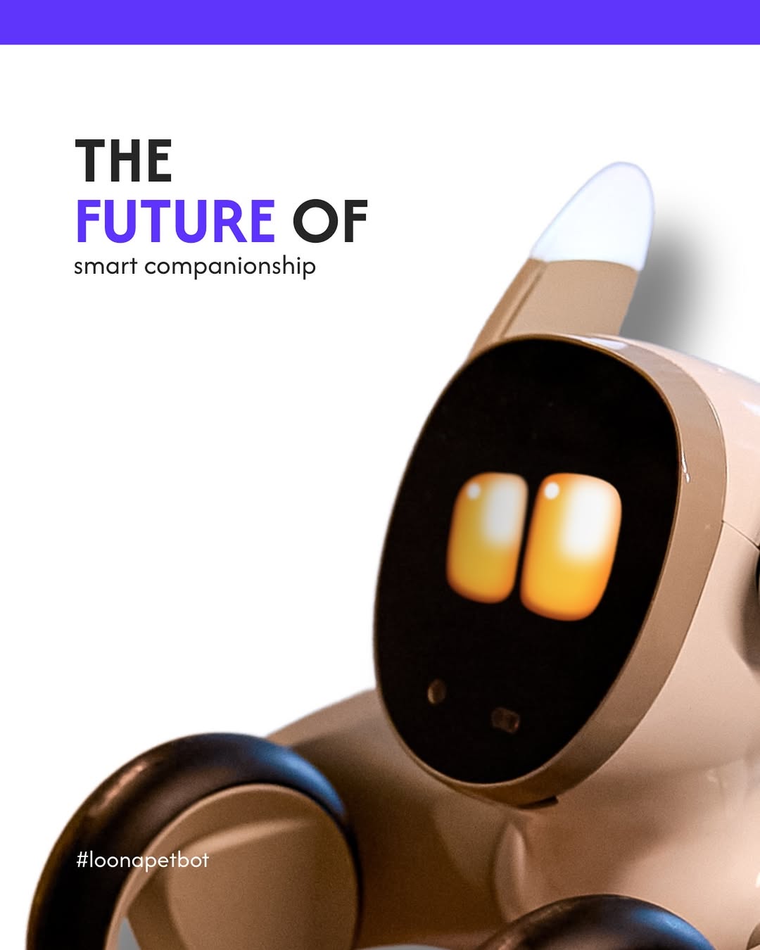 loona pet bot (AI Robot)